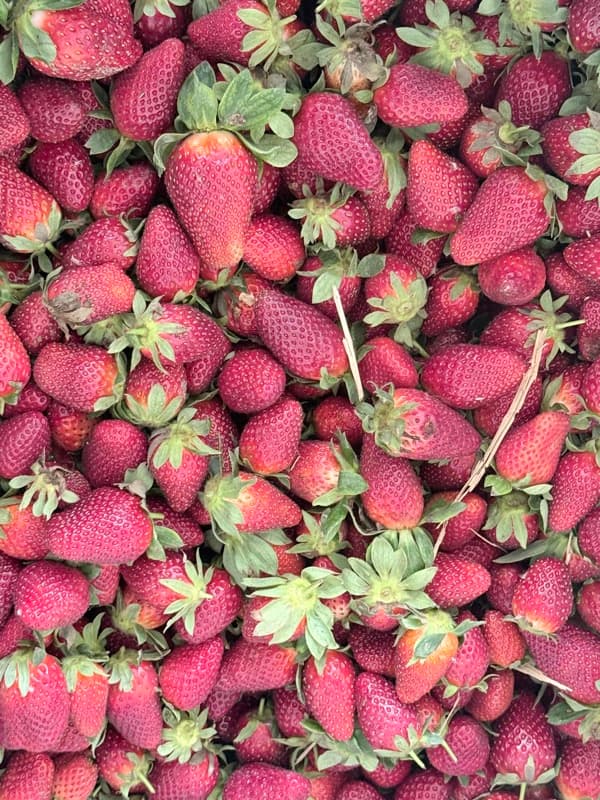 Juicy red strawberries close-up