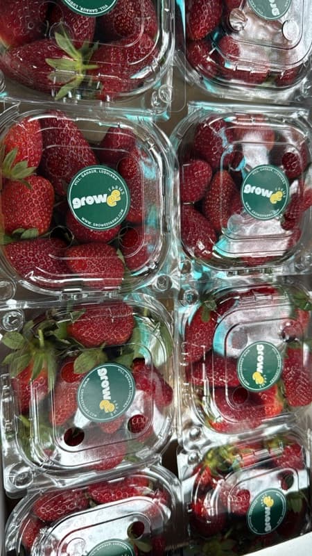Growee Farms branded strawberry punnets