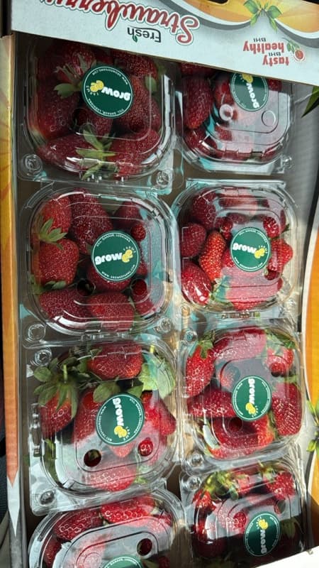 Strawberry boxes ready to ship