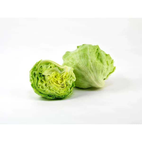 Iceberg Lettuce